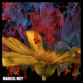 Download track Your Faith Marcel Mey