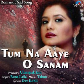 Download track Tum Na Aaye O Sanam Runa Laila