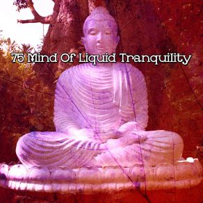 Download track Buddhists Mountain Massage Therapy Music