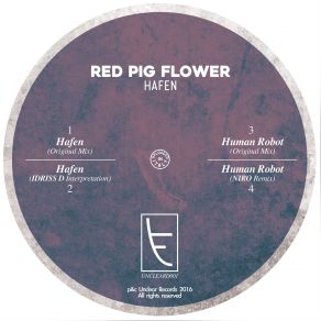 Download track Hafen (Original Mix) Red Pig Flower