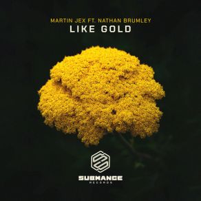 Download track Like Gold (Extended Mix; Feat. Nathan Brumley) Nathan Brumley