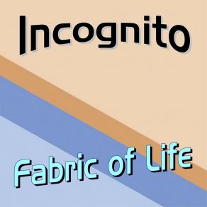 Download track In The Hood Incognito