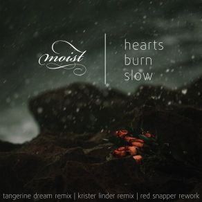 Download track Hearts Burn Slow (Krister Linder Remix) MoistTupilaq