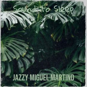 Download track City Sounds Jazzy Miguel Martind