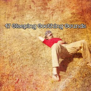 Download track Relaxing In The Evening Musica Para Dormir Dream House