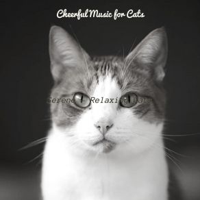 Download track Dream-Like (Sleeping Cats) Cheerful Music For Cats