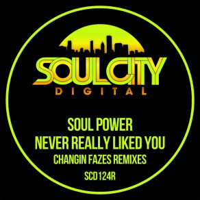 Download track Never Really Liked You (Changin Fazes UK Garage Dub Remix) Changin Fazes