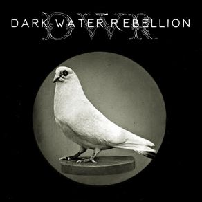 Download track Wildfire Dark Water Rebellion