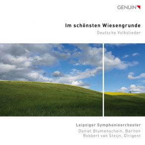 Download track Werner: Sah Ein Knab' Ein Röslein Stehn (Arr. S. König For Voice & Orchestra) Daniel Blumenschein, Leipziger Symphonieorchester, Robbert Van Steijn