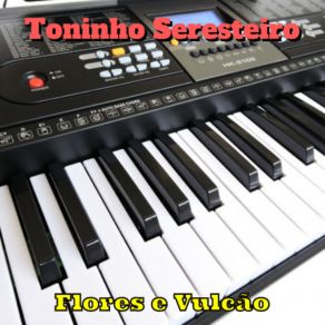 Download track Se Puder Olhar Pra Mim Toninho Seresteiro