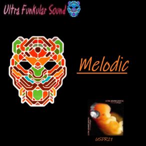 Download track Melodic Ultra Funkular Sound