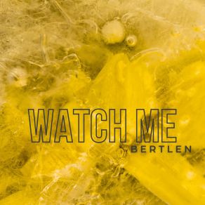 Download track Some Fries Bertlen