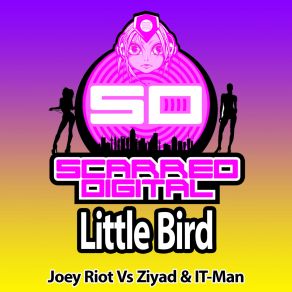 Download track Little Bird (Original Mix) Joey Riot, Ziyad