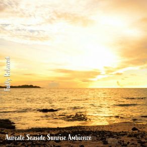 Download track Aureate Seaside Sunrise Ambience, Pt. 10 Steve Brassel