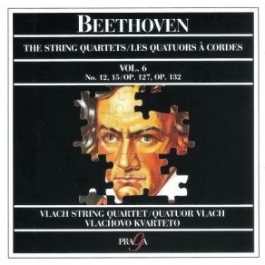 Download track 6. Quatuor A Cordes No. 15 En La Mineur Op. 132 - 2. Allegro Ma Non Tanto Ludwig Van Beethoven