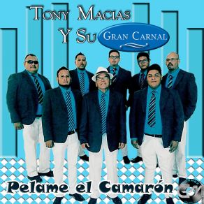 Download track Lagrimas Amargas Su Gran Carnal