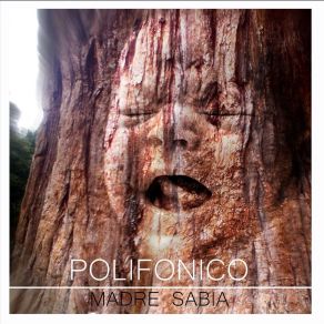 Download track Y Ya No Pude Dormir Polifonico