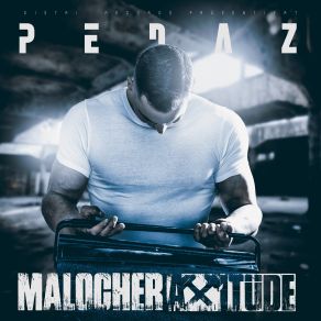 Download track Malocherattitüde Pedaz