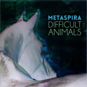 Download track Should Metaspira