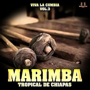 Download track Panaderia Juan Elmita Marimba Tropical De Chiapas