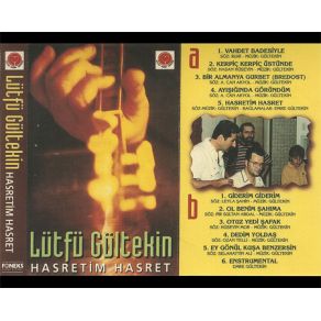 Download track Giderim Giderim Lütfü Gültekin