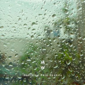 Download track Soothing Constant Rain, Pt. 01 Memory Of Water