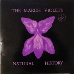 Download track Steam The March Violets