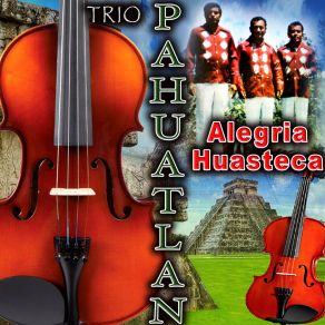 Download track LAS GAVIOTAS Trio Pahuatlan