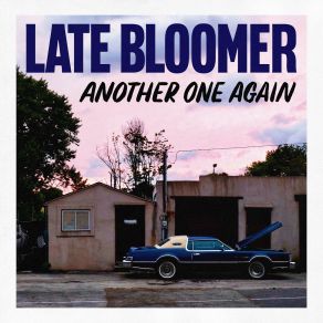 Download track Behind Your Ear Late Bloomer