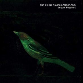 Download track Rothko Veil Dream Feathers Ron Caines, Martin Archer Axis