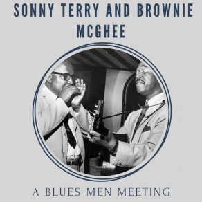 Download track I'm A Stranger Here Brownie McGhee