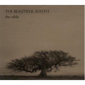 Download track Don'T Marry Her [Acoustic] Beautiful South, The