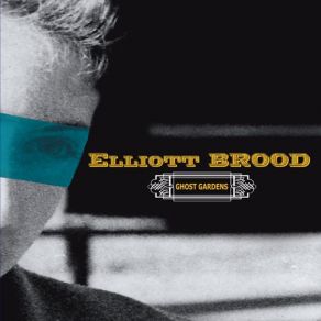 Download track The Widower Elliott Brood