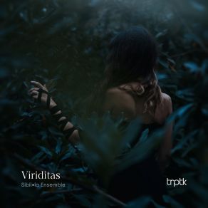 Download track Bingen: O Virtus Sapientiae Sibil La Ensemble