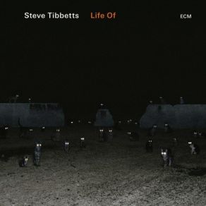 Download track End Again Steve Tibbetts