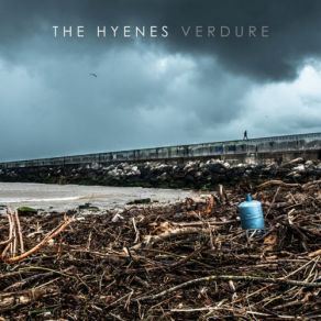 Download track Ça S'arrête Jamais The Hyenes