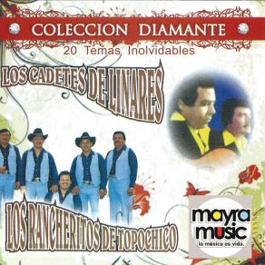 Download track El Dia De Tu Boda Cadetes De Linares