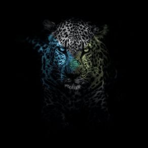 Download track Agrede El Verde La Novia Del Jaguar