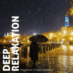 Download track Walking In The Rain Sounds, Pt. 5 Craig Hewitt