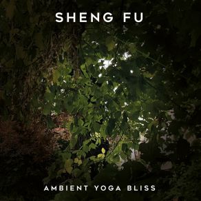 Download track At Large Fu Sheng