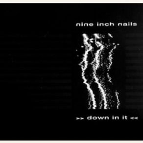 Download track Down In It (Skin) Nine Inch NailsSkin