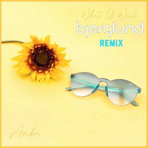 Download track What U Want (Bjerglund Remix Radio Edit) BjerglundAmber J