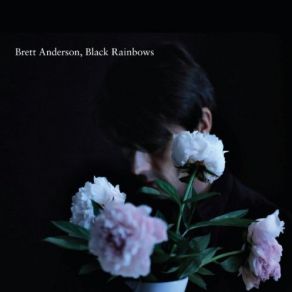 Download track I Count The Times Brett Anderson