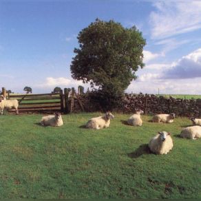 Download track Justfied And Ancient Seems A Long Time Ago The Klf