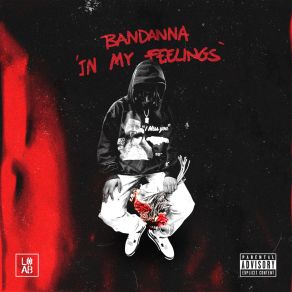 Download track In My Feelings Bandanna