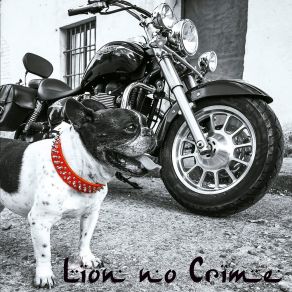 Download track Los Actos Impuros Lion No Crime