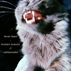 Download track Broken Branch Feral Fawn