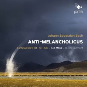 Download track 06. Meine Seufzer, Meine Tränen, BWV 13 Aria Meine Seufzer, Meine Tränen Johann Sebastian Bach