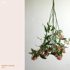 Download track Ambient 22 Sthlm Blush