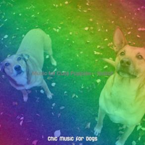 Download track Cultivated Jazz Guitar Trio - Vibe For Cute Puppies Chic Music For Dogs